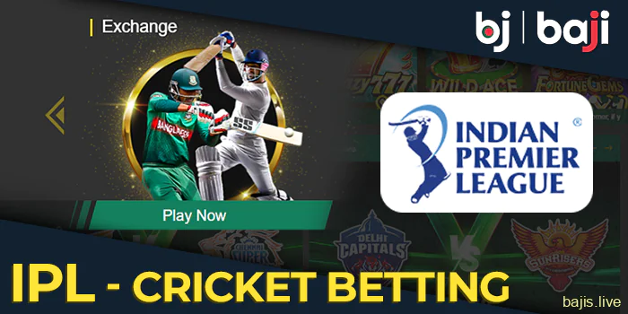 IPL - The most popular cricket competition on the Baji website